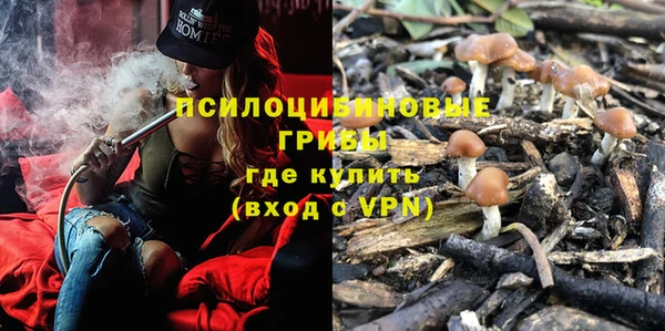 марки lsd Няндома