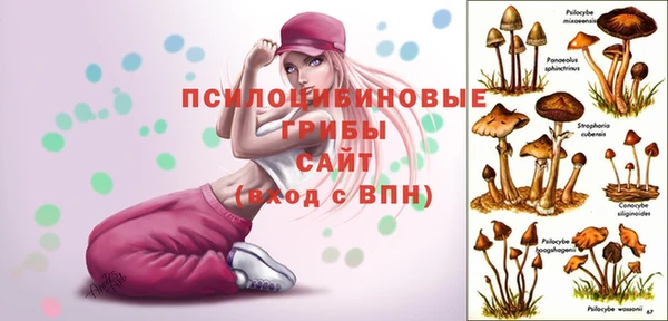 мяу мяу кристалл Ельня