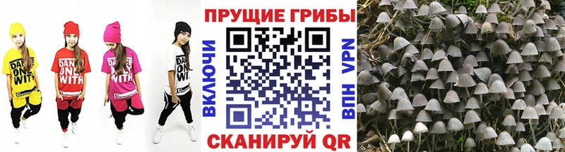 Галлюциногенные грибы ЛСД  Каргополь 